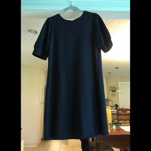 NWT. Loft Navy Dress